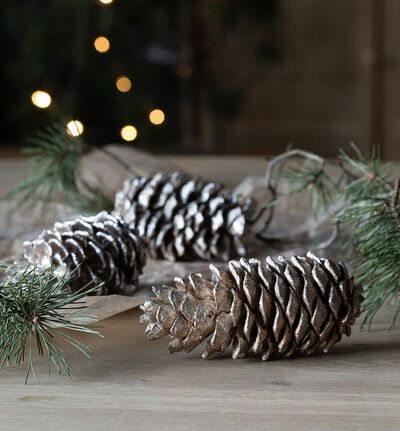 Kongler stor i pose champagne Kongler stor i pose champagne